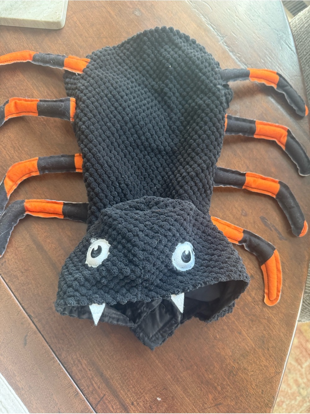 Vibrant Life Small Dog Spider Halloween Costume Black Orange